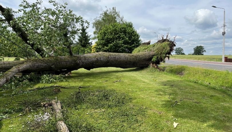 /Anna Kropaczek /RMF FM