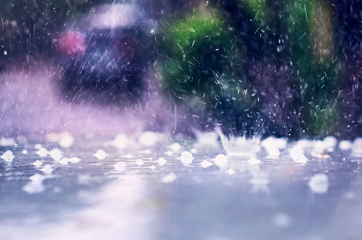 Prawie 400 razy strażacy interweniowali po burzach, które przechodzą przez Polskę. To dane do godz. 21. Najwięcej zgłoszeń było w województwie śląskim. Większość dotyczyła połamanych drzew i podtopień.