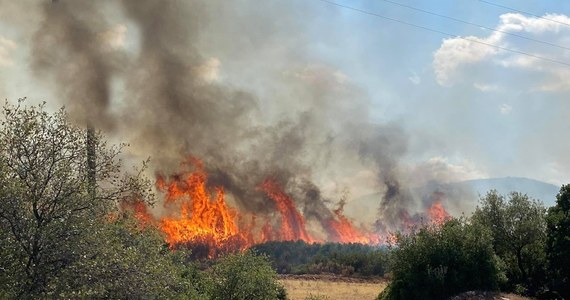 Setki strażaków walczą z 70 pożarami lasów w różnych częściach Grecji, w tym na wyspach Andros i Salamina. Akcję gaśniczą utrudnia silny wiatr, który może doprowadzić do powstania kolejnych ognisk – podał Reuters.
