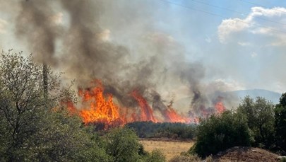 Pożary w Grecji. Nie żyje jedna osoba