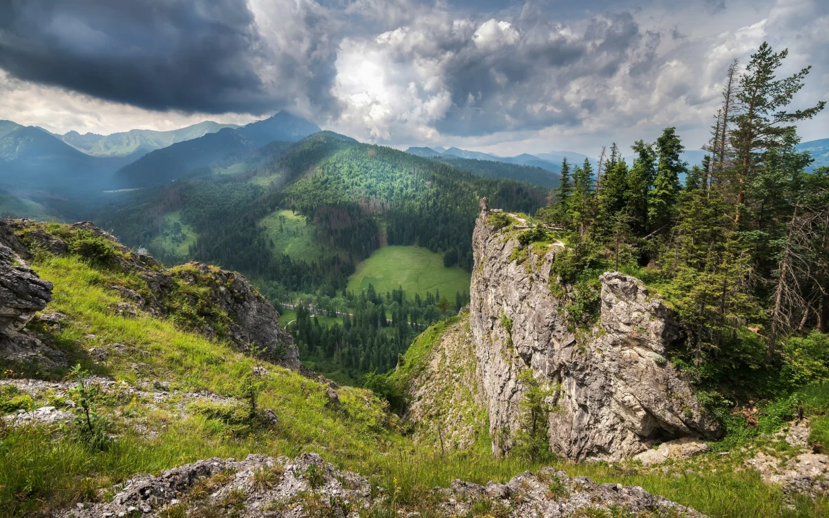 Ze względu na remont od dziś do odwołania w dni powszednie zamknięty będzie zielony szlak turystyczny na Nosal, na odcinku Bulwary Słowackiego - Nosal - Nosalowa Przełęcz w obie strony.