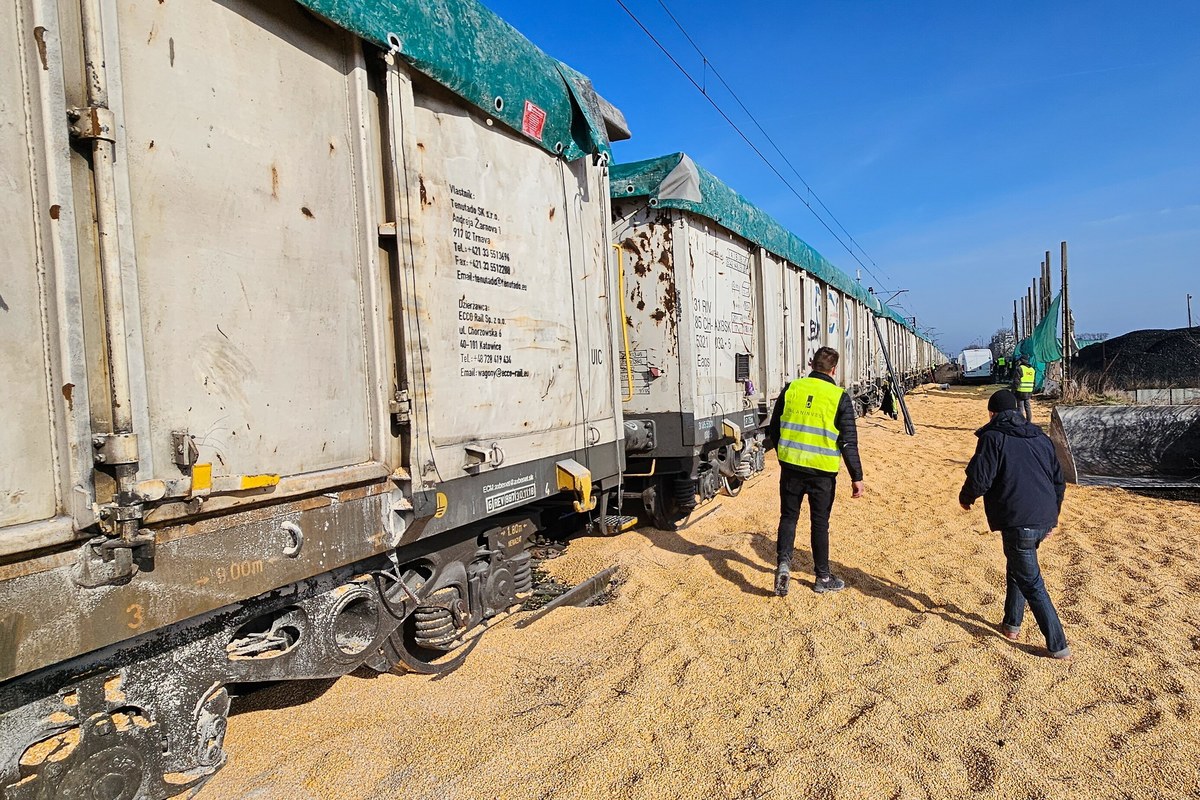 Dokładnie cztery miesiące temu ktoś wysypał ukraińskie zboże z wagonów na bocznicy kolejowej w Kotomierzu koło Bydgoszczy. Chodzi o 160 ton kukurydzy. Do dziś prokuraturze nie udało się nikomu postawić zarzutów w tej sprawie. 