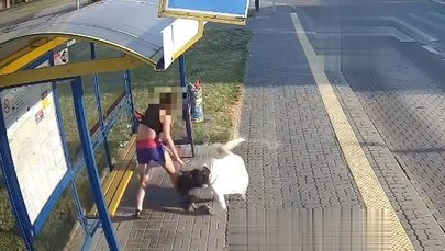 Brutalnie pobiła kobietę na przystanku w Pabianicach. Pomyliła osoby