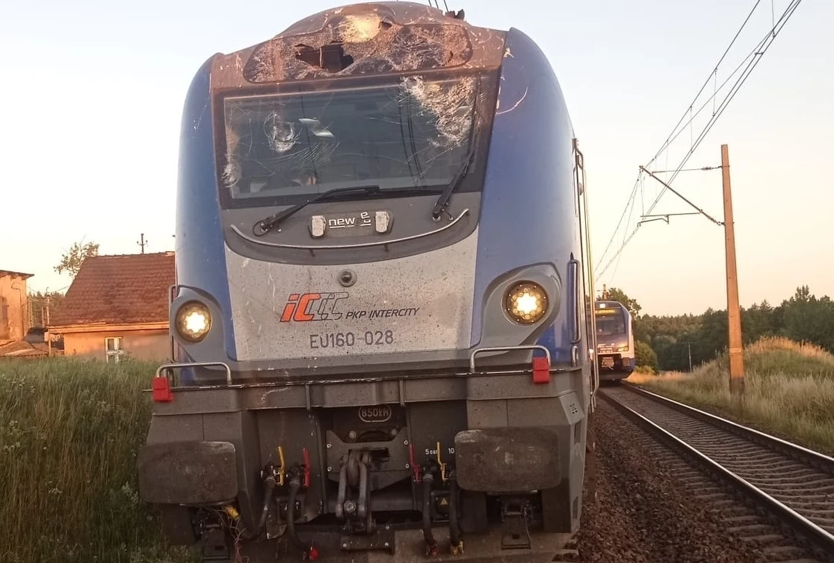 Pociąg relacji Kraków Główny - Gdynia Główna uderzył w uszkodzoną sieć trakcyjną w miejscowości Gąsiorki niedaleko Tczewa (województwo pomorskie). Ewakuowano 220 osób.