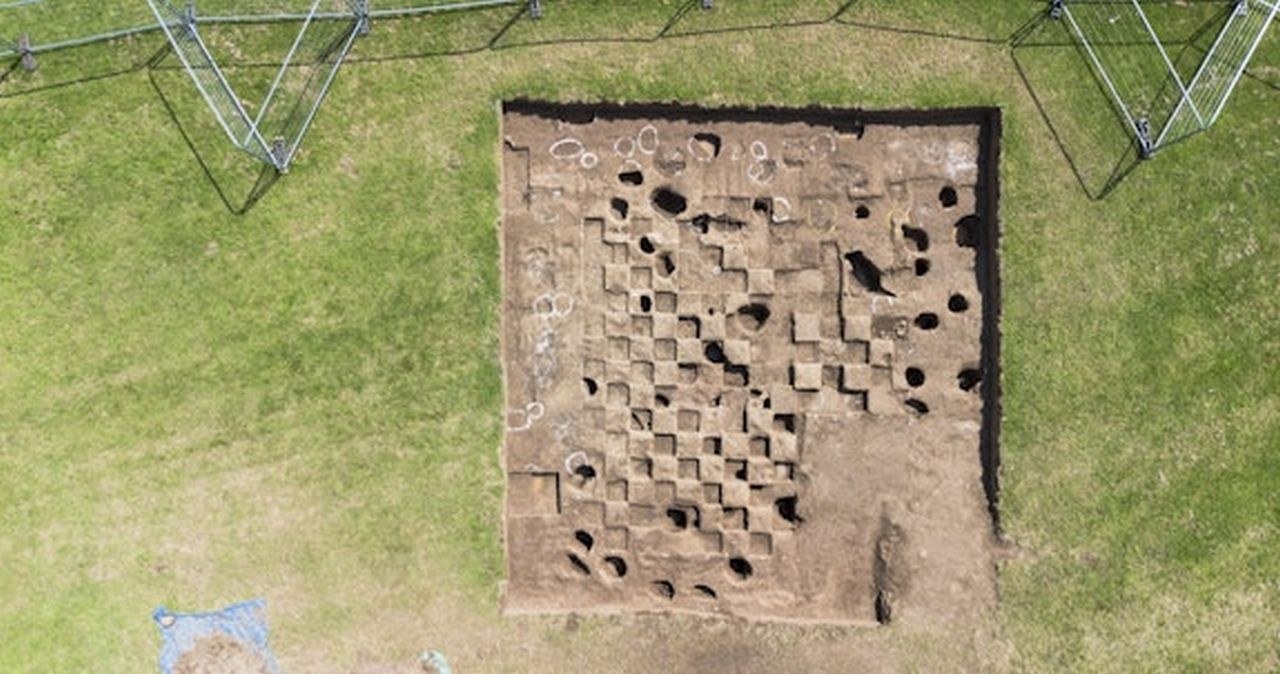 Historia pod stopami. Miejski park ujawnia kolejne skarby