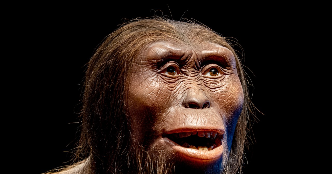 Nawet, dzisiejszej, perspektywy, możemy, sobie, wyobrazić, ogromnie, podniosła, temperaturę, teza, Charlesa, Darwina, ewolucyjny Neandertalczyk tak naprawdę nie istniał. Wszystko to nieporozumienie