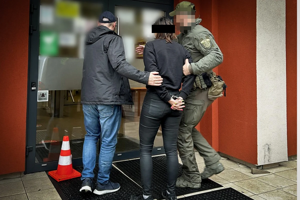 Grupę przestępczą zajmującą się na Śląsku nielegalną uprawą marihuany wartą na "czarnym rynku" ok. miliona złotych rozbili funkcjonariusze Centralnego Biura Śledczego Policji oraz Krajowej Administracji Skarbowej. Na polecenie Prokuratury Okręgowej w Gliwicach zatrzymano 6 osób. 