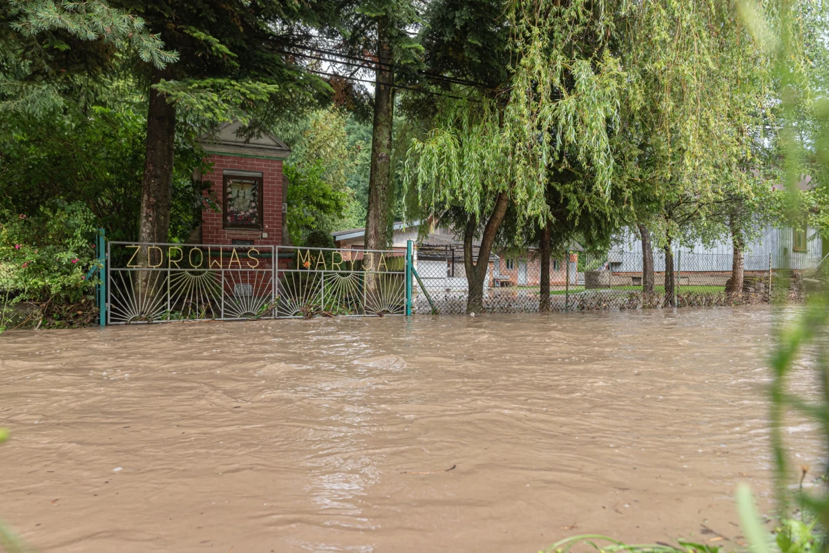 Strażacy walczą ze skutkami burz przechodzących nad Polską. Do godz. 21 odnotowali niemal 1000 zgłoszeń związanych z usuwaniem zniszczeń powstałych w wyniku silnego wiatru oraz podtopień.
