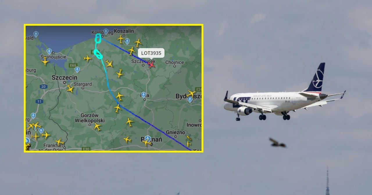 Samolot PLL LOT z Warszawy do Szczecina musiał zawrócić do stolicy