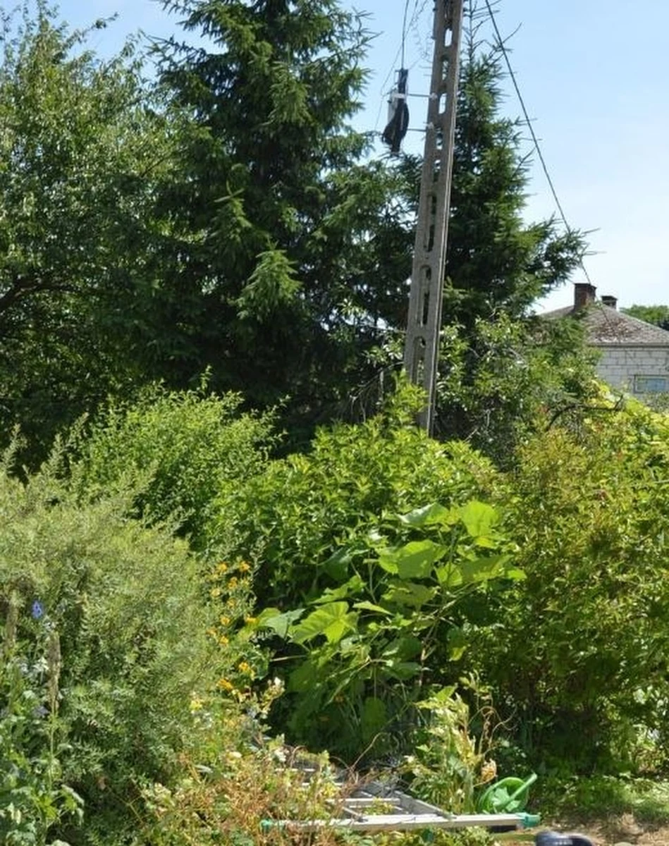 24-latek został wczoraj śmiertelnie porażony prądem w miejscowości Boży Dar na Lubelszczyźnie. Do tragicznego wypadku doszło podczas montowania światłowodu na słupie energetycznym - podała policja. 