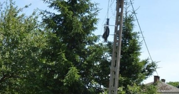 24-latek został wczoraj śmiertelnie porażony prądem w miejscowości Boży Dar na Lubelszczyźnie. Do tragicznego wypadku doszło podczas montowania światłowodu na słupie energetycznym - podała policja. 
