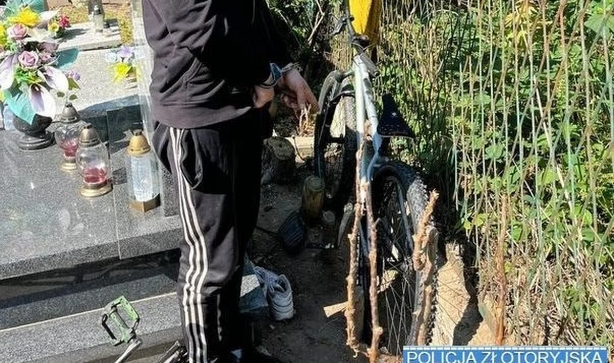 Policjanci ze Złotoryi (woj. dolnośląskie) odzyskali skradziony rower górski i zatrzymali 33-letniego mężczyznę. Jednoślad został odnaleziony na cmentarzu. Sprawca ukrył go za grobem swojej babci. 