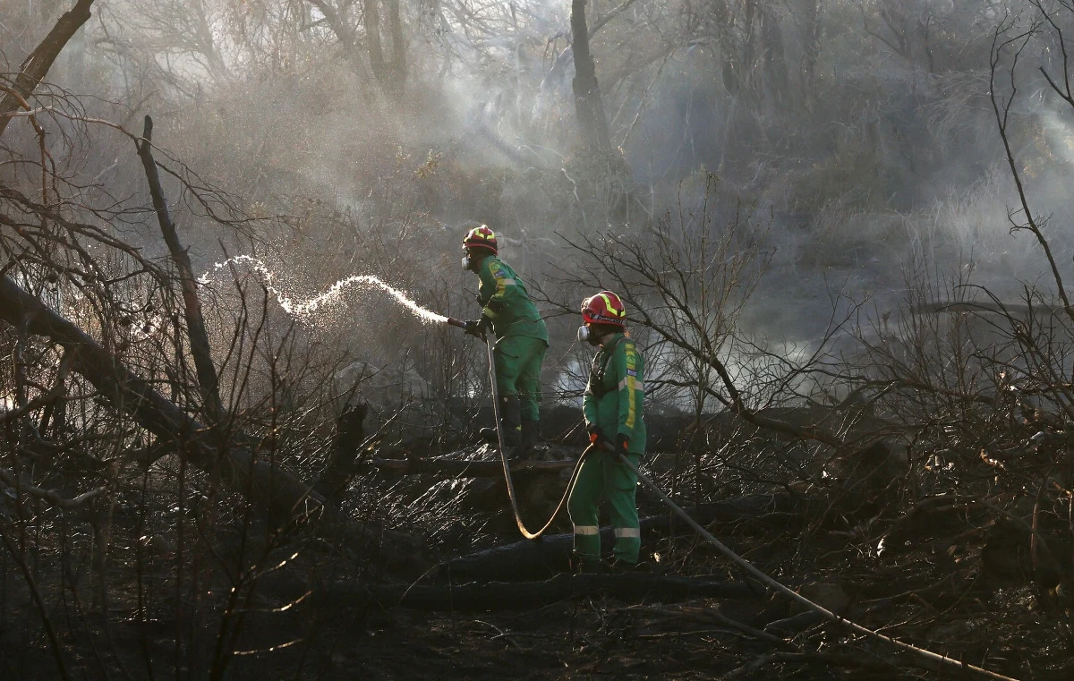 Pożar, który wybuchł w sobotę po południu na greckiej wyspie Serifos na Morzu Egejskim, został opanowany, ale jego skutki są bardzo poważne - powiadomiły w niedzielę tamtejsze władze. Ich szef ocenił, że na wyspie doszło do "biblijnej katastrofy".