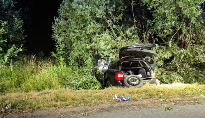 Tragiczny wypadek na Opolszczyźnie. Trzy osoby zginęły na miejscu