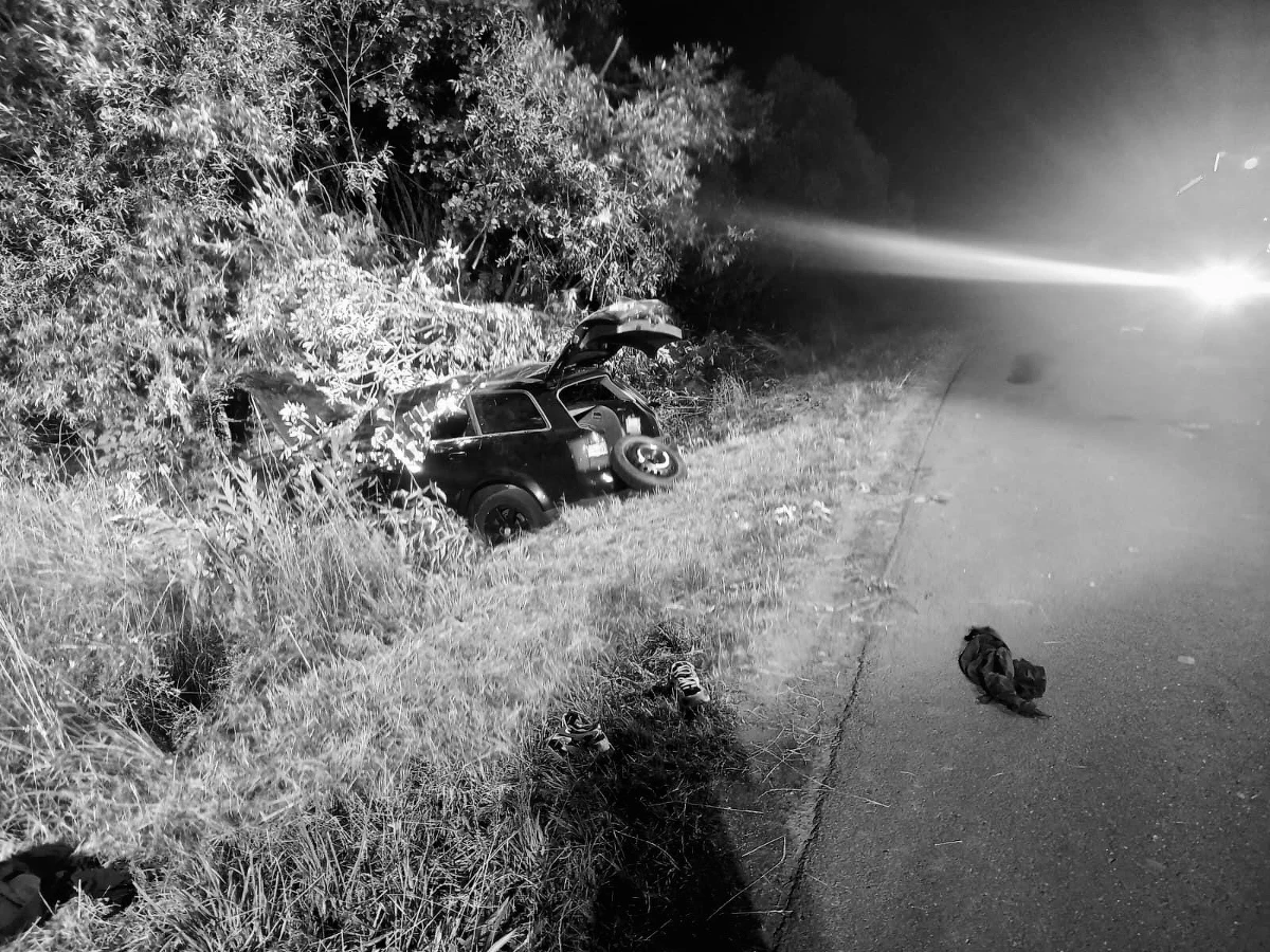 W wyniku wypadku samochodu osobowego na drodze powiatowej koło Nysy zginęły trzy osoby, a jedna została ranna - poinformował w niedzielę oficer dyżurny KW Państwowej Straży Pożarnej w Opolu.