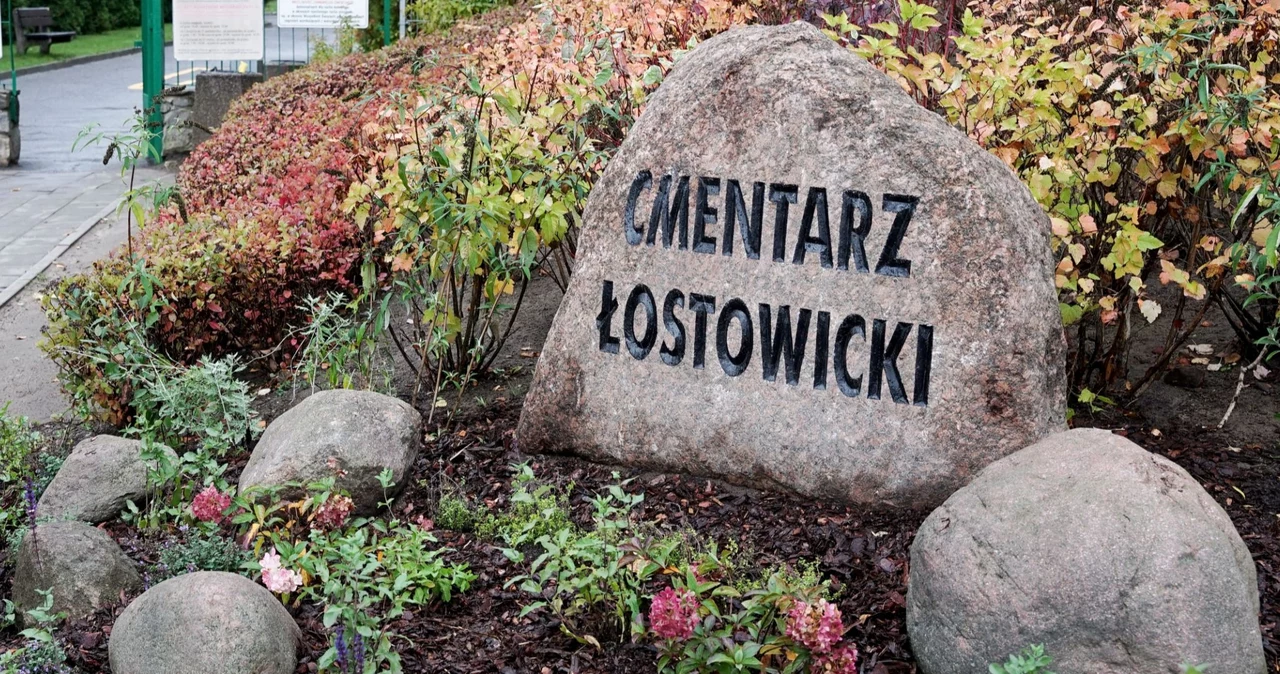 Cmentarz Łostowicki w Gdańsku. Władze miasta reagują na nadchodzące nawałnice