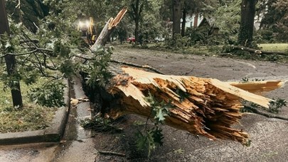 Zerwane dachy i połamane drzewa. Nad Polską przeszły potężne burze