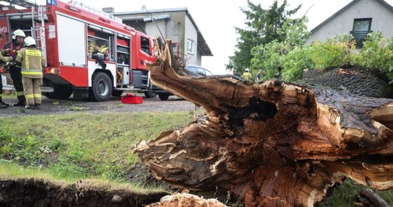 Nad Polską przeszły w niedzielę i minionej nocy potężne burze. Najwięcej interwencji strażaków odnotowano na Pomorzu i w Wielkopolsce.