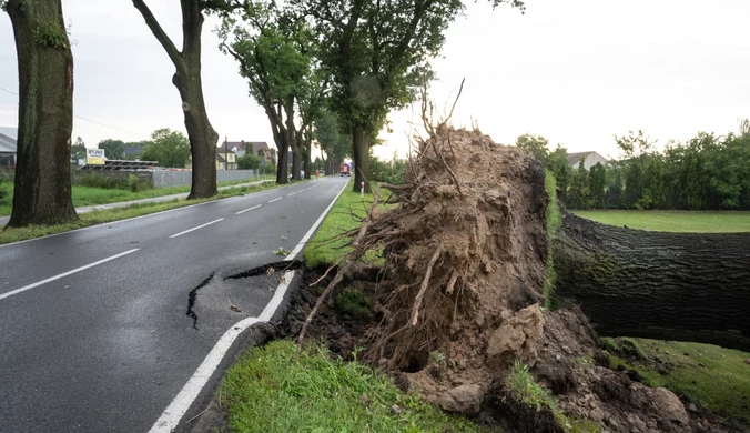 Wyjątkowo ciężki weekend. Prawie 4,5 tys. interwencji