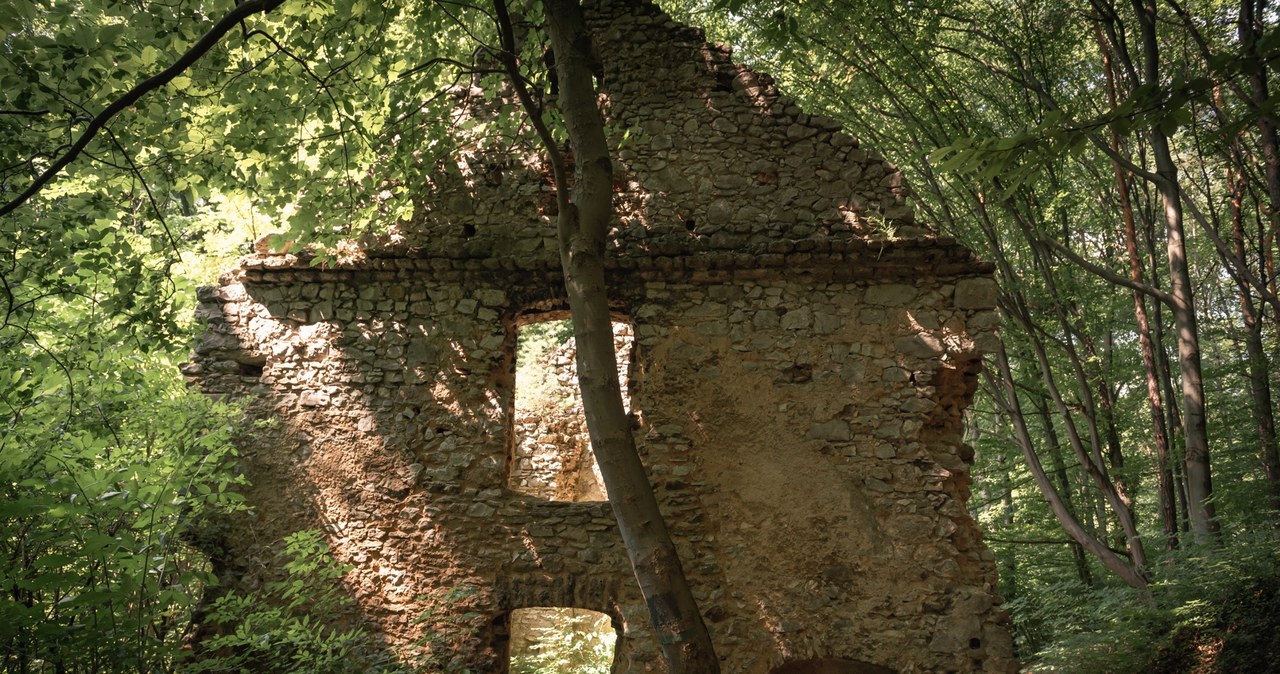 Piękny gęsty las, przyjemnie szumiący, sunący przez dolinę strumyk i górujący nad nią zabytkowy zespół klasztorny karmelitów bosych. Brzmi jak wspaniałe miejsce na sielankową weekendową wycieczkę? Jak najbardziej, choć tak całkiem spokojnie może nie być — pośród drzew skrywają się bowiem opuszczone dawno temu zabudowania, a między nimi unikatowa na skalę europejską konstrukcja — zagadkowy Diabelski Most...