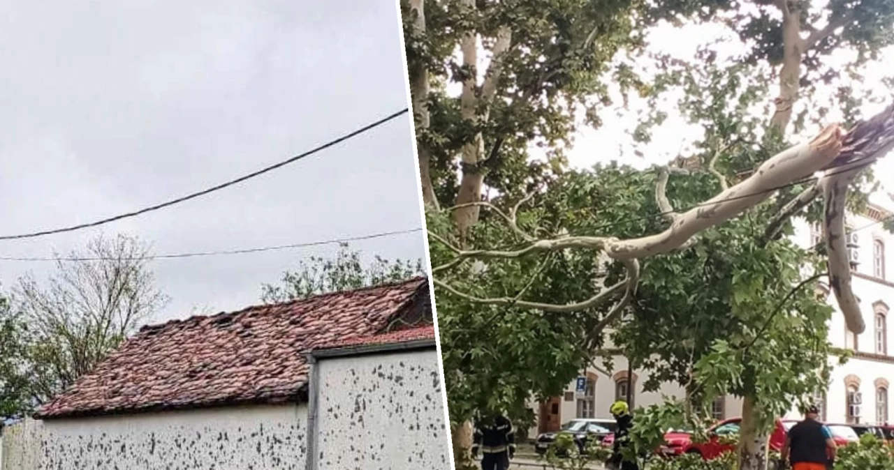 Wyjątkowo silne burze przetoczyły się w poniedziałek wieczorem przez Chorwację. W Zagrzebiu silny wiatr powalił wiele drzew, utrudniając ruch
