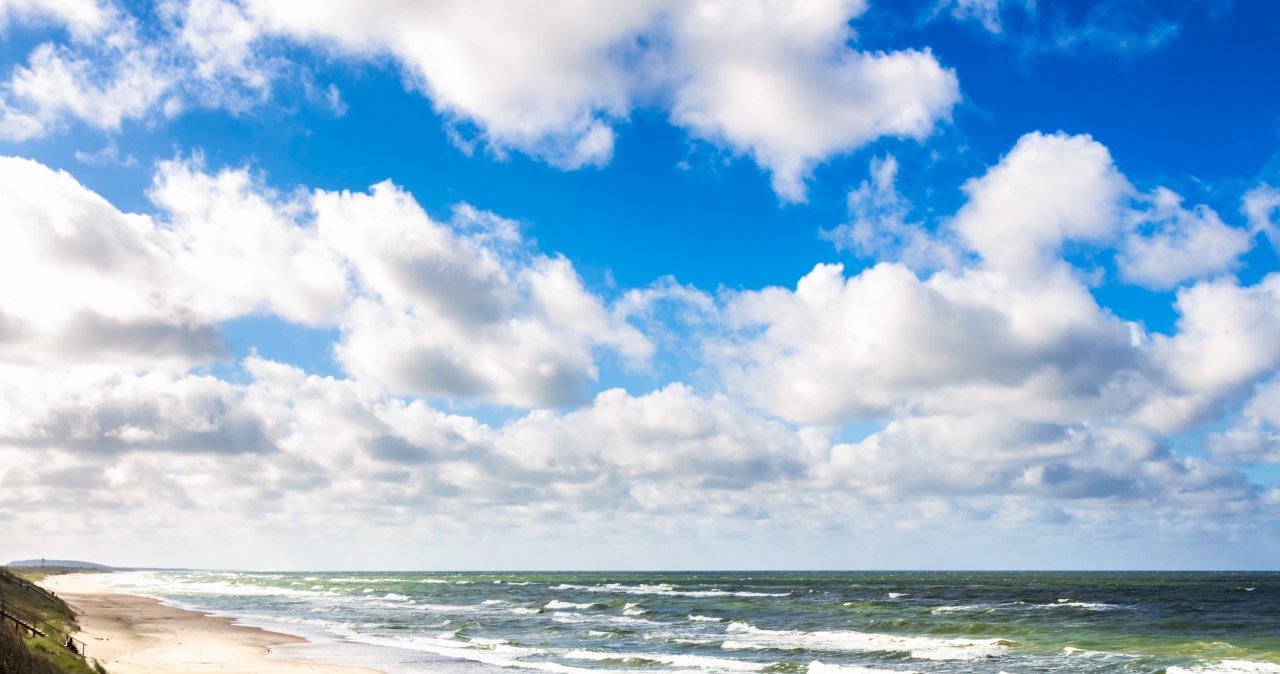 Czarne grudki na plażach Bałtyku. Zebrano ponad 2 tony odpadów Czarne grudki na plażach Bałtyku. Zebrano ponad 2 tony odpadów