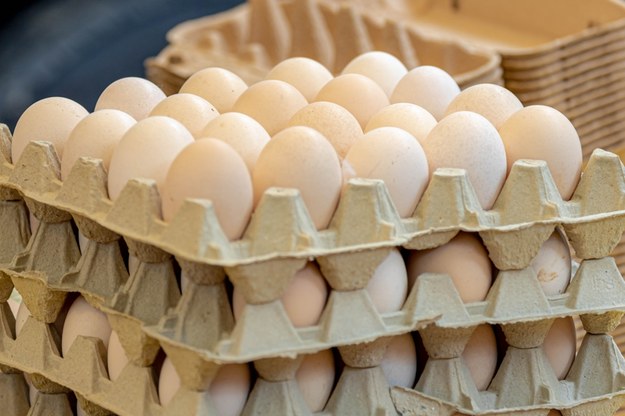 UE przywróciła cła na import jaj i cukru z Ukrainy