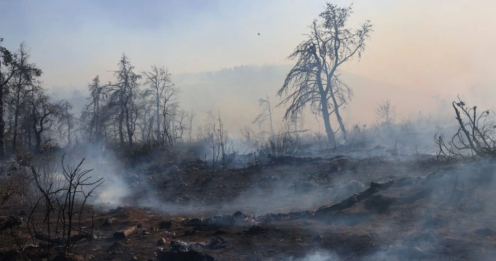 Wypalone tereny masywu Parnita, znanego jako "płuca Aten". Greccy strażacy walczą z pojawiającymi się cały czas pożarami w wielu miejscach kraju