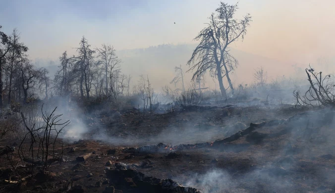 Strażacy ochronili Ateny. Napięta sytuacja na wyspie Kos