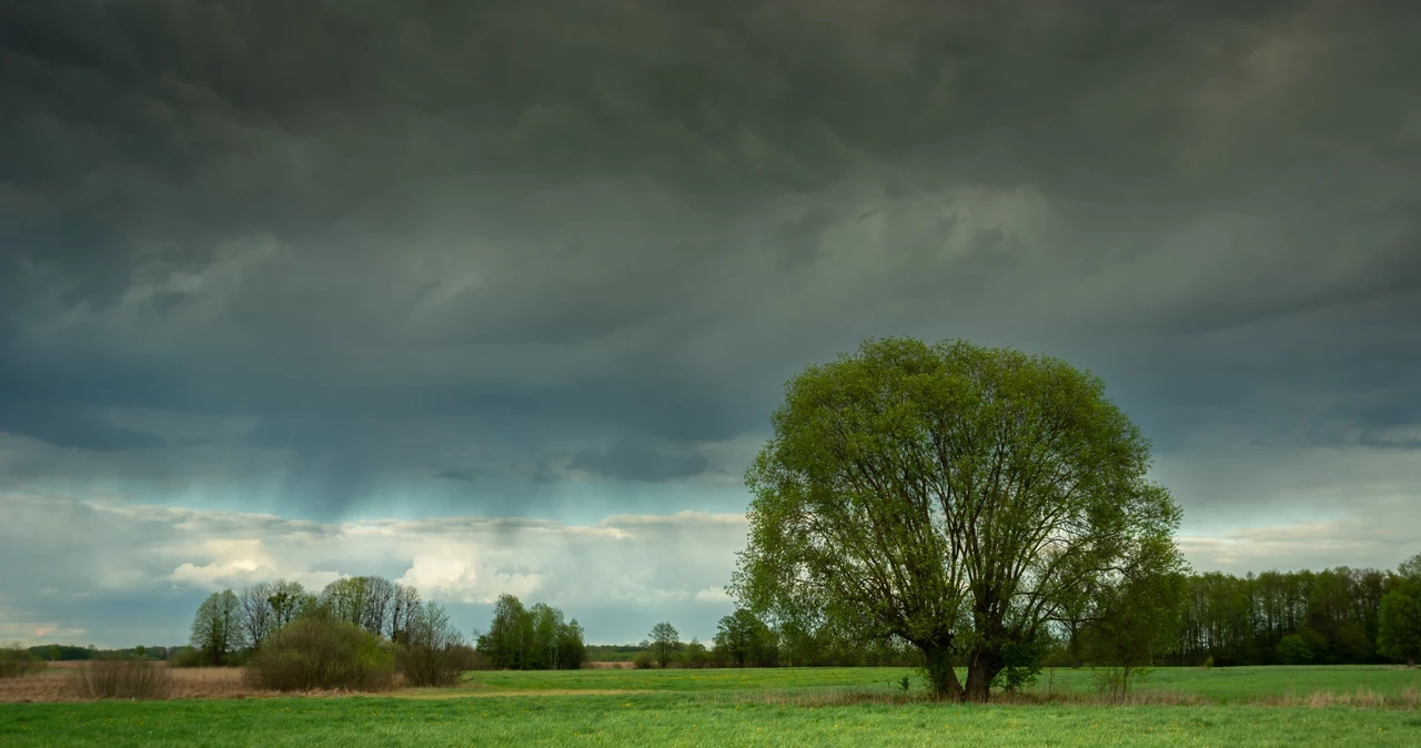 Wtorek jest pochmurny i deszczowy w wielu miejscach Polski. Lokalnie pojawiają się też słabe burze