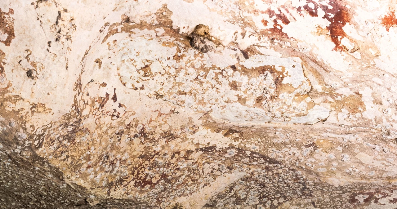 Najstarsze malowidło jaskiniowe na świecie