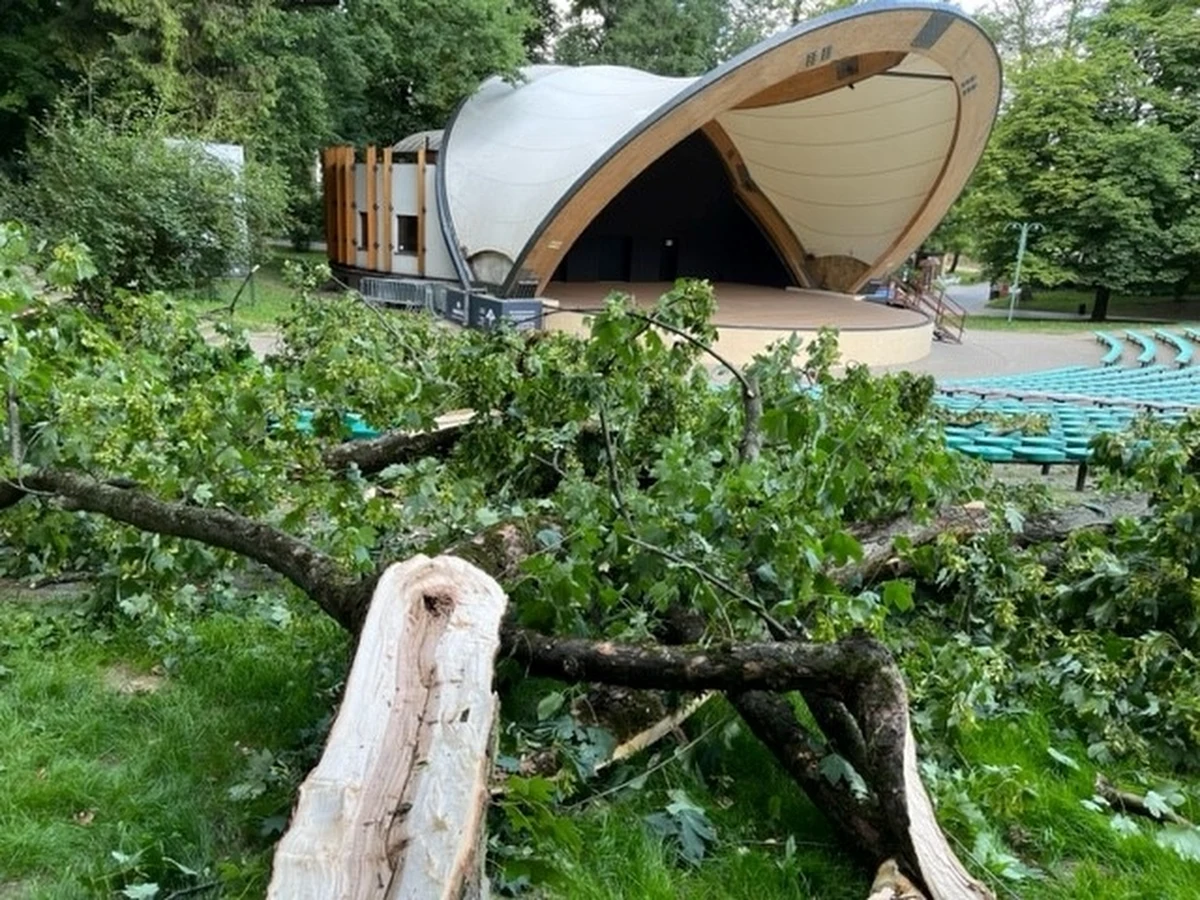 Wszystkie drzewa w parkach miejskich i miejscach użyteczności publicznej w Lublinie zostaną ponownie zlustrowane - zapowiedziały władze miasta. To reakcja na wczorajszy wypadek w  Ogrodzie Saskim, gdzie oderwany konar uderzył dwie nastolatki siedzące na widowni muszli koncertowej.

