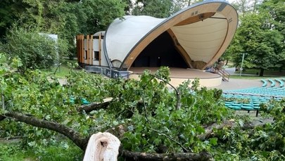 Lublin: po wypadku w Ogrodzie Saskim przegląd drzew