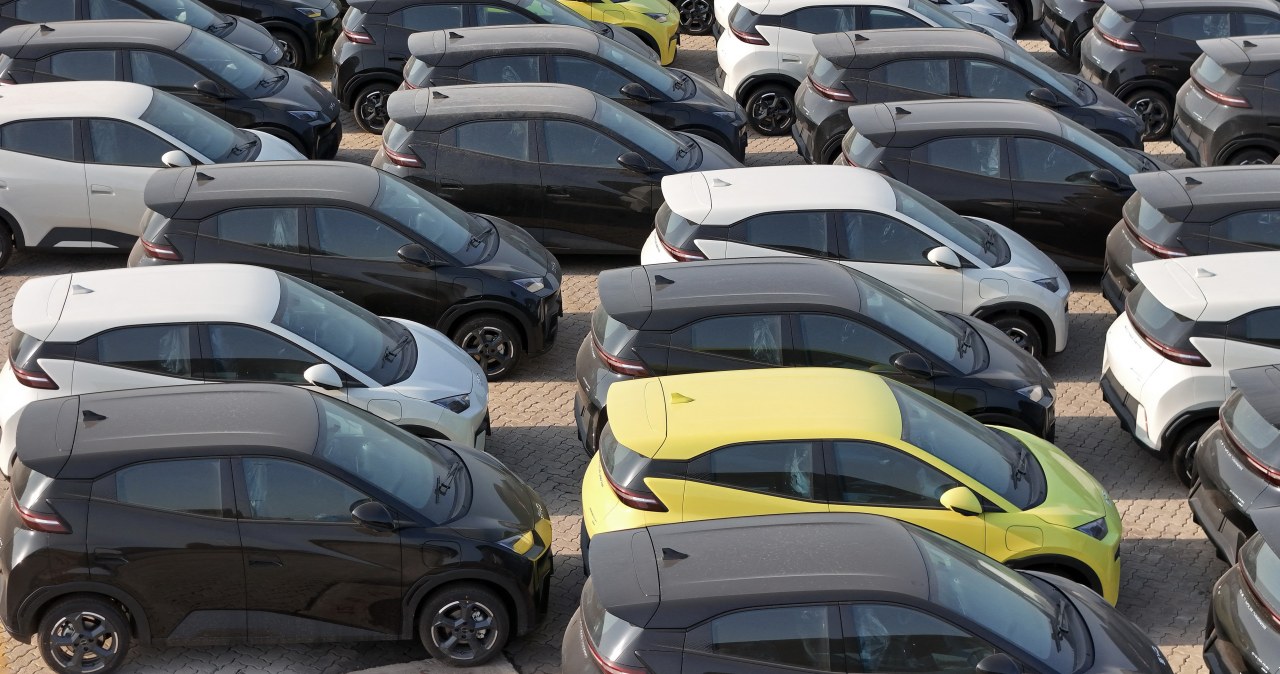 Auta spoza UE pod lupą skarbówki. Setki decyzji o dopłatach