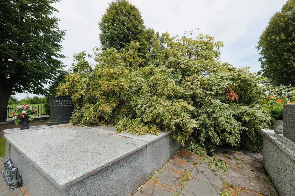 Już prawie 33 miliony złotych wynoszą straty po nawałnicach, jakie w czerwcu przeszły nad województwem śląskim. Takie dane dotarły do śląskiego urzędu wojewódzkiego. Ten bilans z pewnością jeszcze wzrośnie.