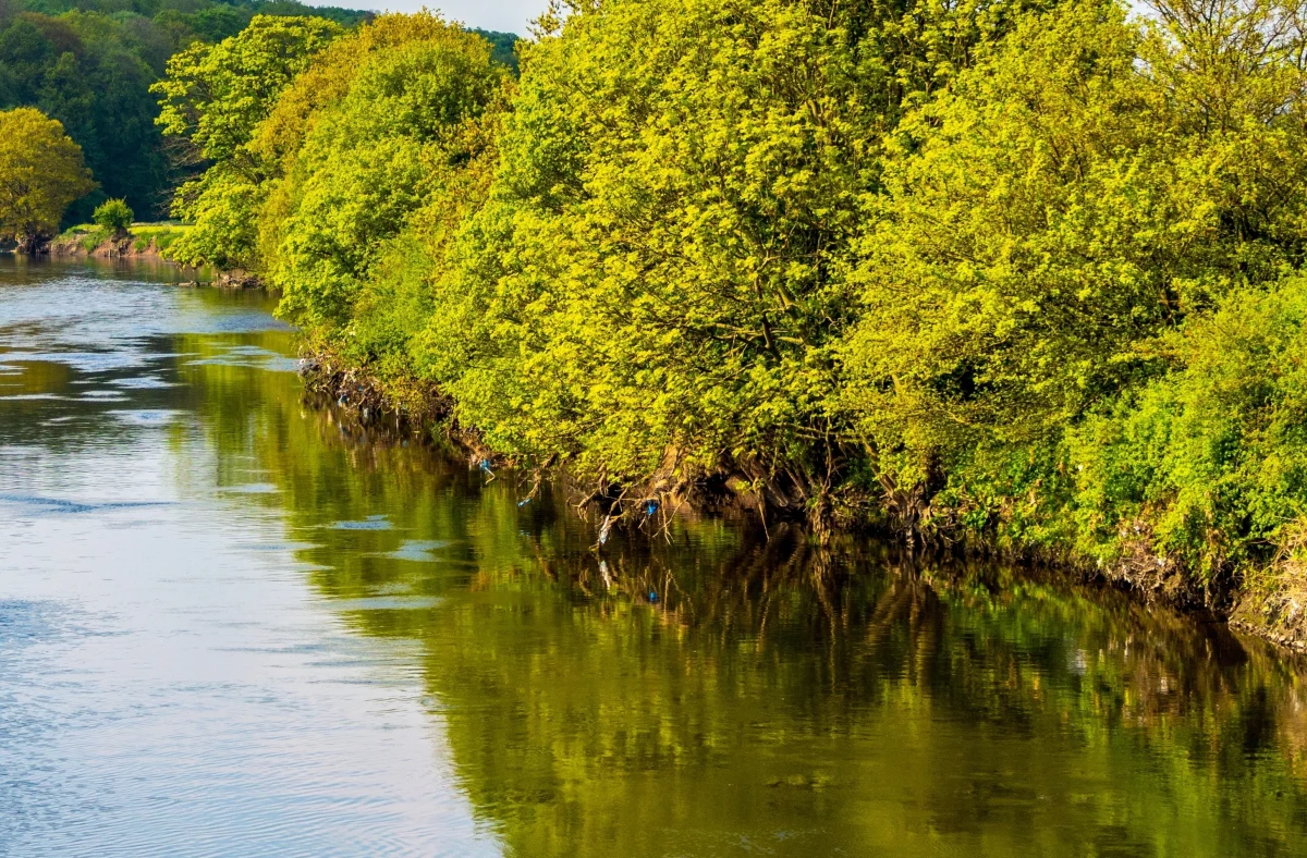 Z rzeki Reda w Wejherowie (woj. pomorskie) wyłowiono w niedzielę ciało kobiety. Policjanci otrzymali zgłoszenie od kajakarzy.