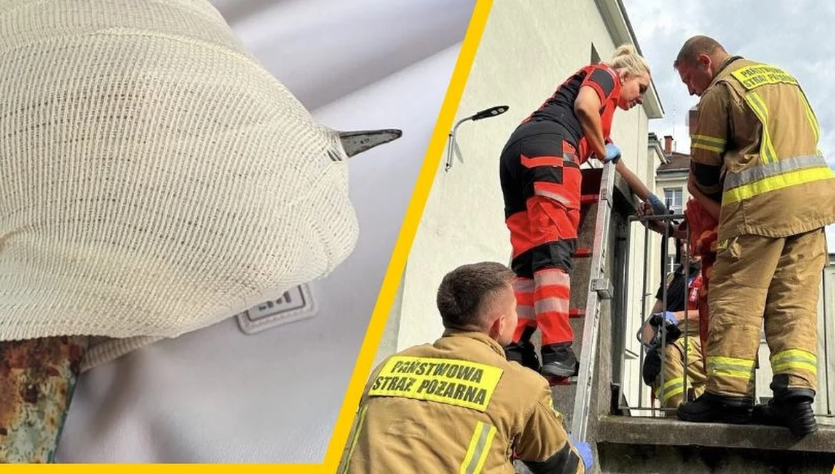 14-letni chłopiec przechodząc przez ogrodzenie nadział się na nie dłonią - poinformowała Wojewódzka Stacja Pogotowia Ratunkowego "Meditrans" w Warszawie. Młody pacjent został przewieziony do szpitala.