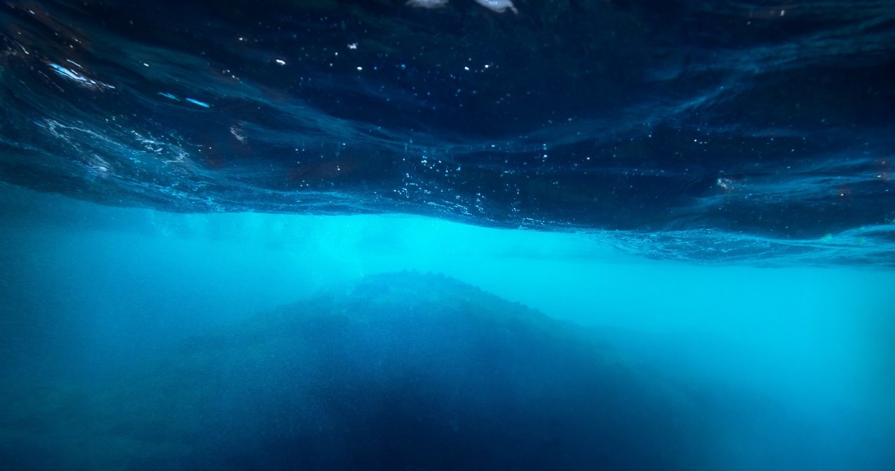 Niezbadane tajemnice oceanów, legendy i intrygujące życie z głębin