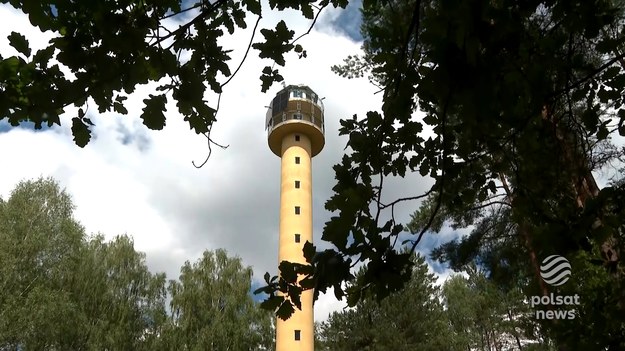 Sztuczna inteligencja wchodzi z rozmachem do Lasów Państwowych. W Regionalnej Dyrekcji Lasów Państwowych w Olsztynie już teraz obserwuje ona lasy wypatrując pożarów. Inteligentne systemy pracują na dwudziestu sześciu z czterdziestu dostrzegalni. Czy sztuczna inteligencja zastąpi wkrótce leśniczego? odpowiedzi szukał Marcin Szumowski.