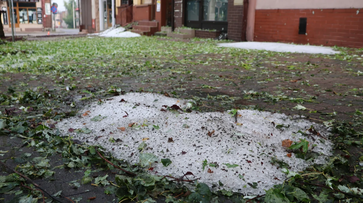 Paraliż drogowy, połamane drzewa, zalane posesje - to skutki gradobicia i ulewnych deszczy, które przeszły wczoraj nad Małopolską. Najbardziej ucierpiały Wolbrom, Olkusz, Chrzanów i Zakopane. Strażacy interweniowali 461 razy. 