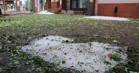 Paraliż drogowy, połamane drzewa, zalane posesje - to skutki gradobicia i ulewnych deszczy, które przeszły wczoraj nad Małopolską. Najbardziej ucierpiały Wolbrom, Olkusz, Chrzanów i Zakopane. Strażacy interweniowali 461 razy. 