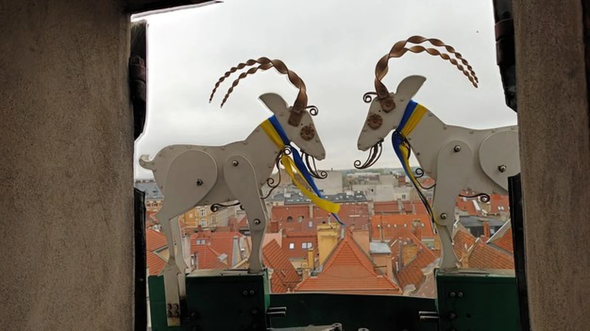 Koziołki wróciły na poznańską wieżę ratuszową. Po wielotygodniowej przerwie znów trykają - ku uciesze turystów i mieszkańców miasta. 