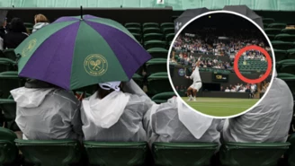 Smutne obrazki na Wimbledonie, to poszło w świat. Jest reakcja