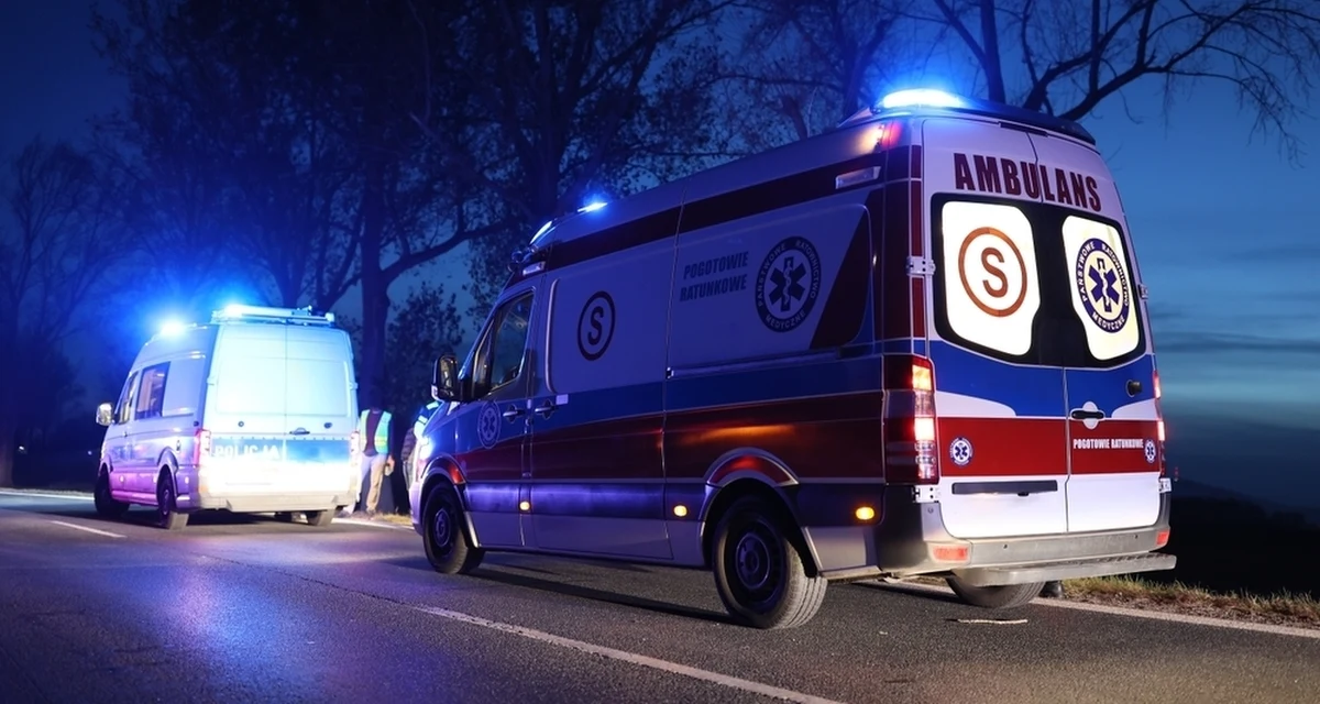 Na drodze nieopodal wielkopolskiego Krotoszyna doszło do wypadku, w którym zginął 20-letni mężczyzna. Policjanci podkreślają, że przyczyną tragedii była nadmierna prędkość.
