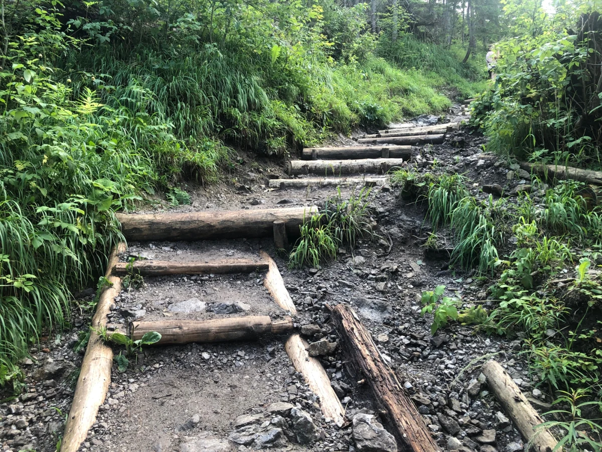 ​Tatrzański Park Narodowy poinformował, że zakończył się remont popularnego zielonego szlaku na Nosal. Ścieżka ponownie została otwarta dla turystów.