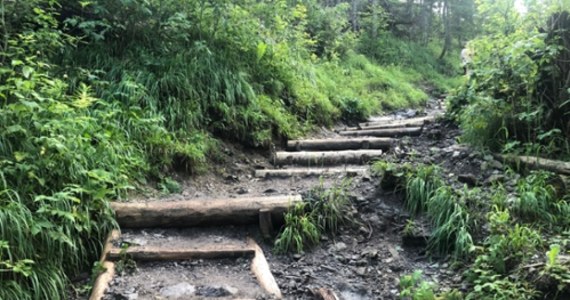 ​Tatrzański Park Narodowy poinformował, że zakończył się remont popularnego zielonego szlaku na Nosal. Ścieżka ponownie została otwarta dla turystów.