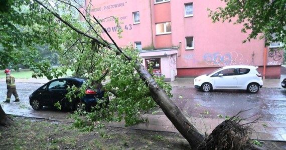 W środę nad województwem zachodniopomorskim przechodzą nawałnice. W Szczecinie zalane zostały niektóre drogi, a silny wiatr powalał drzewa. Strażacy interweniowali tam prawie 100 razy. W całym województwie, według danych z godziny 16:30, wyjeżdżali ponad 340 razy. Uszkodzona została m.in. sieć trakcyjna pomiędzy Wysoką Kamieńską a Kamieniem Pomorskim. Strażacy pomagali także w ewakuacji harcerzy.