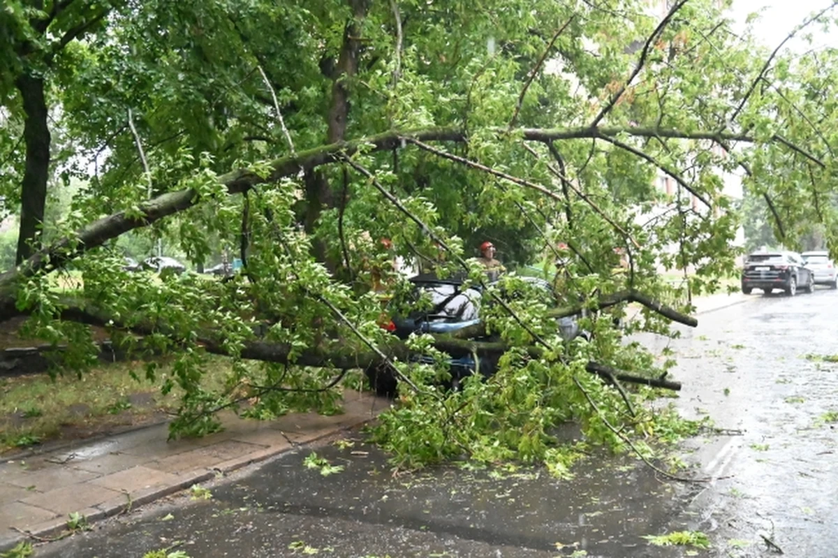 Z powodu zapowiadanego załamania pogody, ze względów bezpieczeństwa zamknięte do odwołania zostaną gdańskie cmentarze komunalne i teren Parku Oliwskiego. Mieszkańców Gdańska oraz turystów prosimy o dostosowanie się do wprowadzonego obostrzenia – apeluje Gdański Zarząd Dróg i Zieleni.