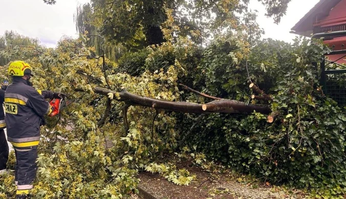 Burze szaleją nad Polską. Wiele interwencji straży, jedna osoba poszukiwana