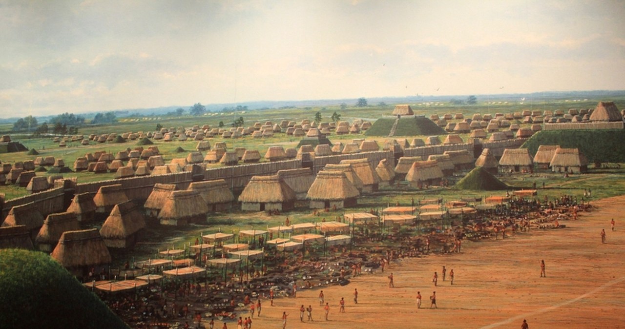 Mieli moc! 900 lat temu "przenieśli" 5-tonowe drzewo ponad 180 km